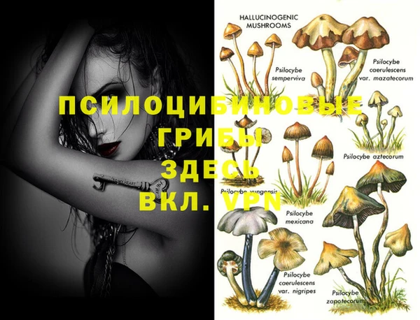 метадон Саяногорск