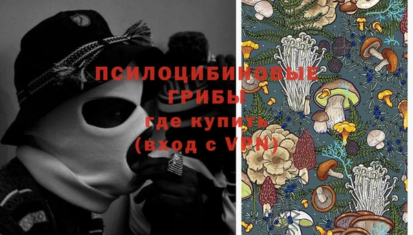 мдпв Балабаново