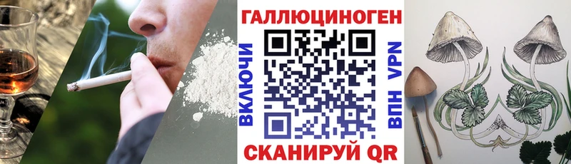 купить  цена  Верхний Тагил  Галлюциногенные грибы Psilocybe 